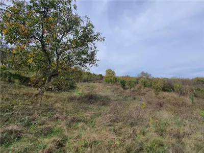 Casă Tradițională Săsească in loc.Aciliu cu 2974mp teren - foto 21