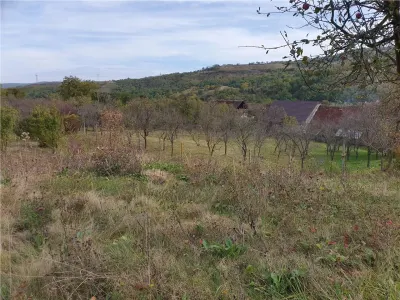 Casă Tradițională Săsească in loc.Aciliu cu 2974mp teren - foto 23