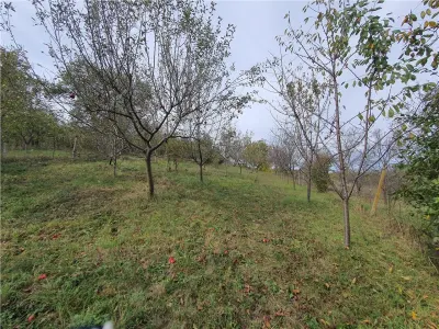 Casă Tradițională Săsească in loc.Aciliu cu 2974mp teren - foto 24