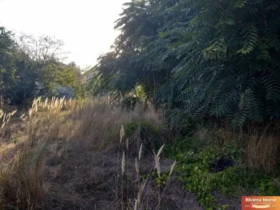 Navodari, strada Plopilor, teren 2352 mp cu casa renovabila/ demolabila - foto 10