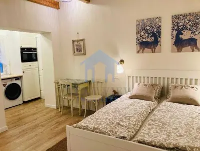 Apartament 1 camera, Horea - foto 3