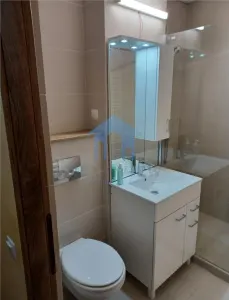 Apartament 1 camera, Marasti - foto 4