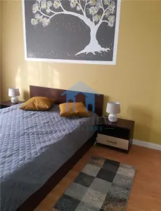 Apartament 2 camere, Plopilor - foto 3