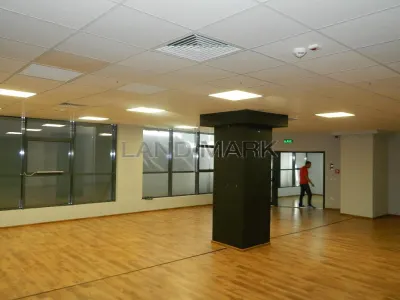 Birouri,  cladire noua parter, 316 mp, aproape de IULIUS MALL - foto 4