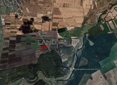 Teren pentru DEZVOLTARE de vanzare in zona Giroc spre padure - foto 1