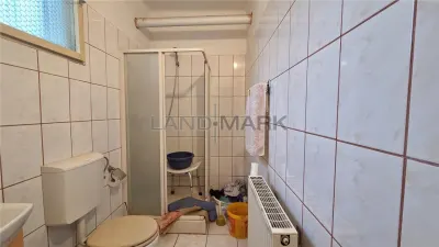COMISION 0% CASA VECHE CU TEREN GENEROS DUMBRAVITA VATRA VECHE - foto 11