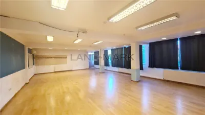 EXCLUSIV, Cladire comerciala de vanzare, Timisoara - foto 10