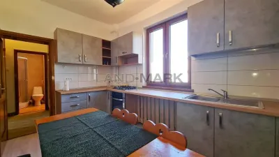 DE INCHIRIAT APARTAMENT 2 CAMERE ZONA MEDICINA STR ZLATNA - foto 3