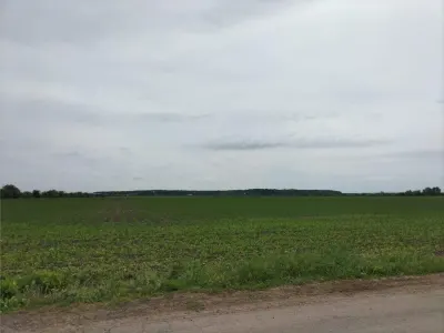 Teren intravilan 65000 mp-Caciulati-Moara V, toate util. - foto 2