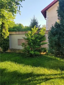 Vila pt 2 familii cu intrari separate - foto 3