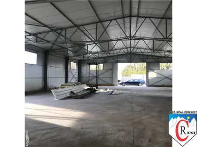 HALA 400MP - foto 4