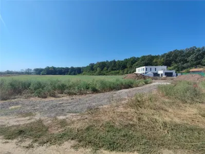 Oportunitate dezvoltare industriala - Teren Tunari - Padure- 5500mp ideal ansamblu vile lux. - Bucuresti