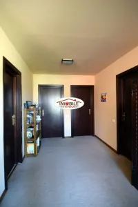 Doua case cu teren 800 mp, zona Trei Stejari - foto 10