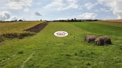 Teren intravilan 500 mp de vanzare in Sura Mare - foto 2