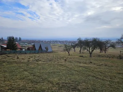 Teren 5000 mp la Bradu - foto 7