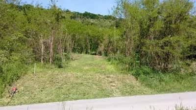 Teren de vanzare in Amnas Sibiu - Amnas