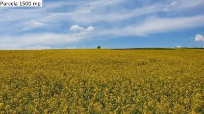 Teren de vanzare in Hamba Sibiu - Hamba