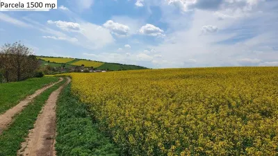 Teren de vanzare in Hamba Sibiu - foto 2