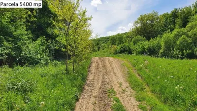 Teren de vanzare in Hamba Sibiu - foto 15