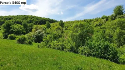 Teren de vanzare in Hamba Sibiu - foto 16