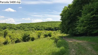 Teren de vanzare in Hamba Sibiu - foto 19