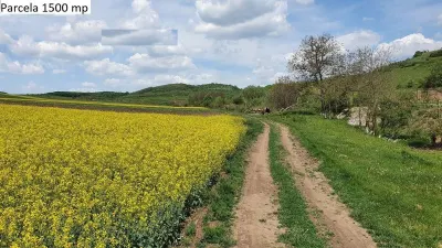 Teren de vanzare in Hamba Sibiu - foto 3