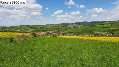 Teren de vanzare in Hamba Sibiu - foto 10