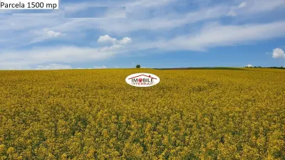 Teren agricol de vanzare in Hamba Sibiu, 4 parcele - foto 1