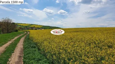 Teren agricol de vanzare in Hamba Sibiu, 4 parcele - foto 2