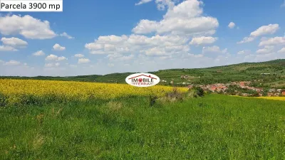 Teren agricol de vanzare in Hamba Sibiu, 4 parcele - foto 11