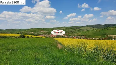 Teren agricol de vanzare in Hamba Sibiu, 4 parcele - foto 12