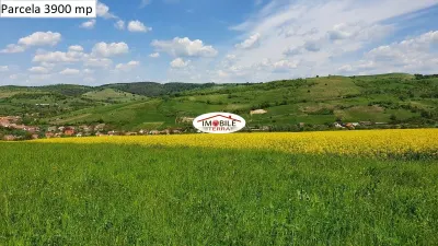 Teren agricol de vanzare in Hamba Sibiu, 4 parcele - foto 13