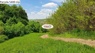 Teren agricol de vanzare in Hamba Sibiu, 4 parcele - foto 18