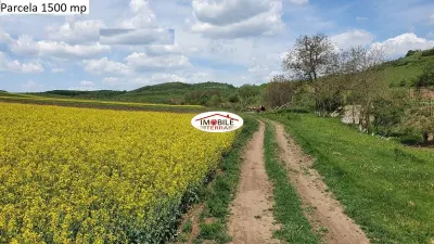 Teren agricol de vanzare in Hamba Sibiu, 4 parcele - foto 3