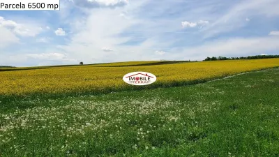 Teren agricol de vanzare in Hamba Sibiu, 4 parcele - foto 7