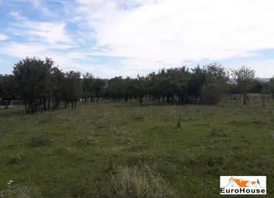 Teren intravilan de vanzare in Paclisa - foto 2