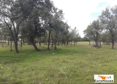 Teren intravilan de vanzare in Paclisa - foto 3
