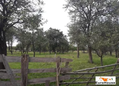 Teren intravilan de vanzare in Paclisa - foto 4