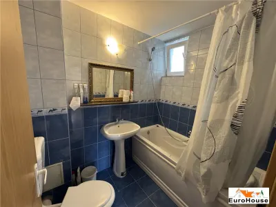 Apartament de inchiriat   2 camere, garaj,  in vilă, Alba Iulia - foto 5