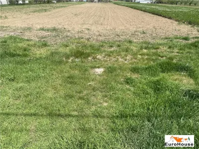 Teren intravilan de vanzare in Alba Iulia - Alba Iulia