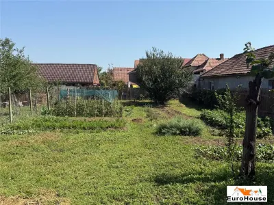 Casa de vanzare in Micesti - foto 3