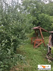 Cabana de vanzare in judetul Alba - foto 8
