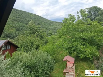 Cabana de vanzare in judetul Alba - foto 9