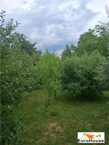 Cabana de vanzare in judetul Alba - foto 10