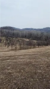 Teren 18000 mp, Vladesti - foto 4