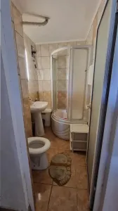 Apartament 2 camere de inchiriat - Petrișor - foto 7