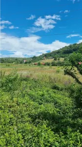 teren 2822mp, Calimanesti ( Jiblea Noua) - foto 1