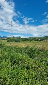 teren 2822mp, Calimanesti ( Jiblea Noua) - foto 2