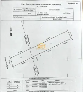 teren 2822mp, Calimanesti ( Jiblea Noua) - foto 4