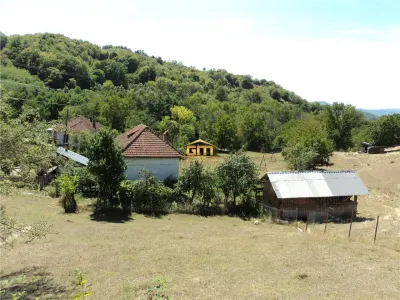 Casă cu teren 3800 mp,situată in com. Berislăvesti - foto 10